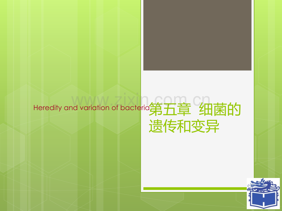 细菌的遗传和变异.ppt_第1页