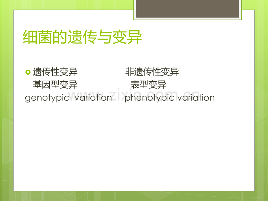 细菌的遗传和变异.ppt_第2页