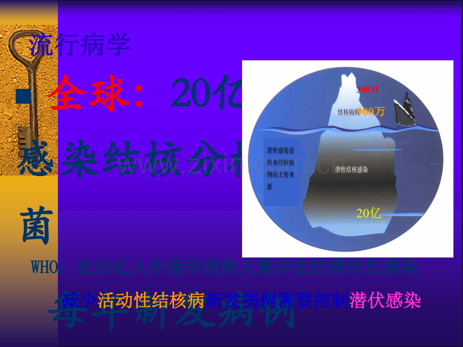 陈玲结核感染细胞检测在结核病潜伏感染中的临床应用ppt课件.ppt_第3页