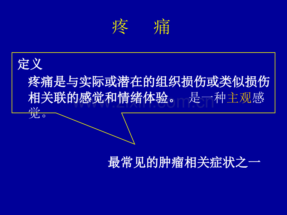 疼痛与癌痛规范化治疗张丽芳.ppt_第2页