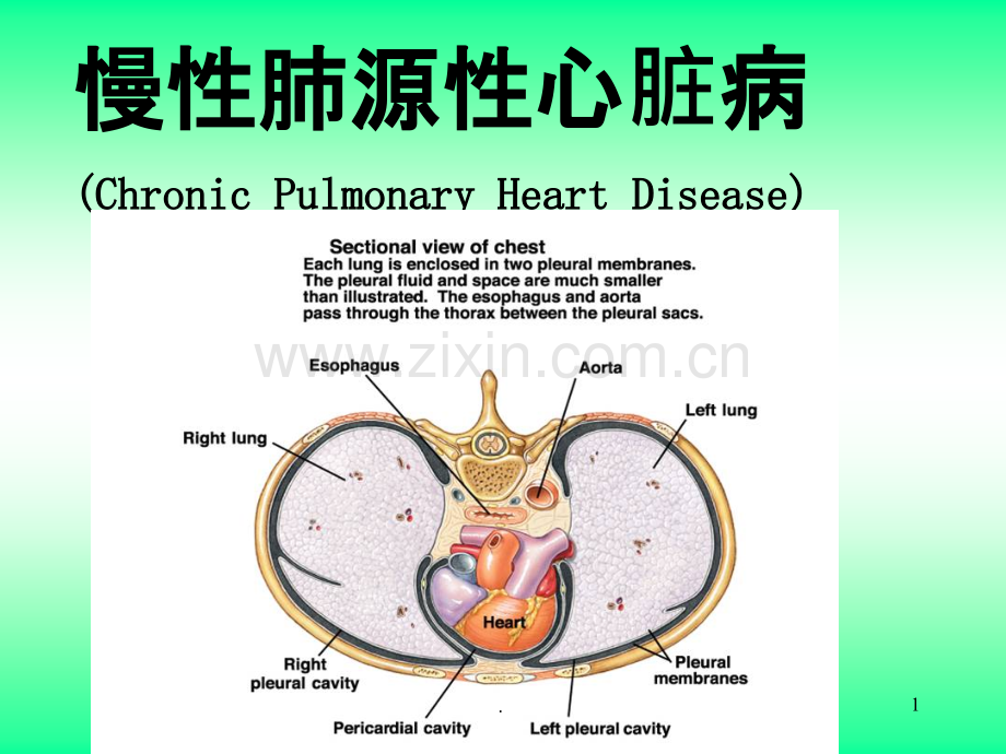 肺心病的护理.ppt_第1页