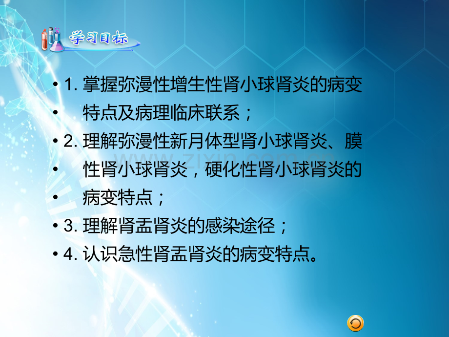 第十章泌尿系统疾病ppt课件.ppt_第2页