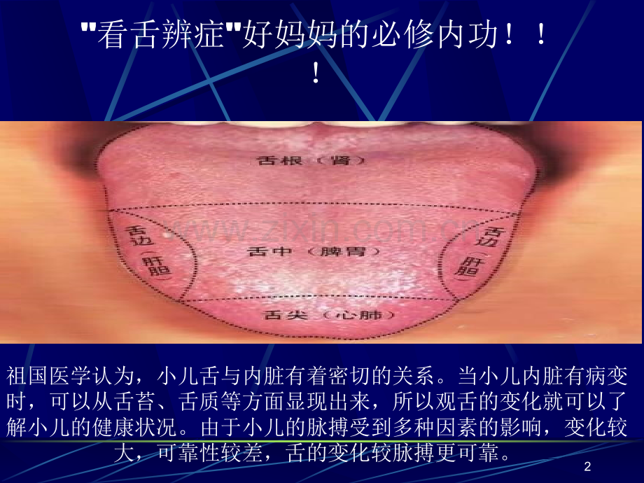 小儿推拿及常用穴位ppt课件.pptx_第2页