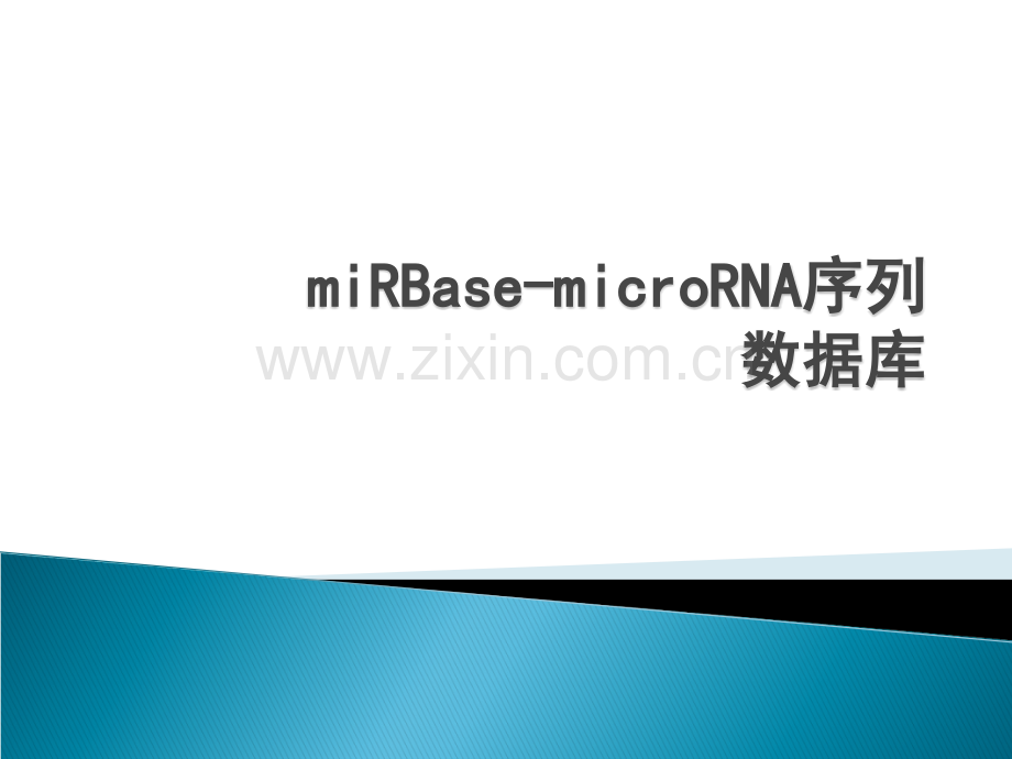 miRBase数据库简介.ppt_第1页