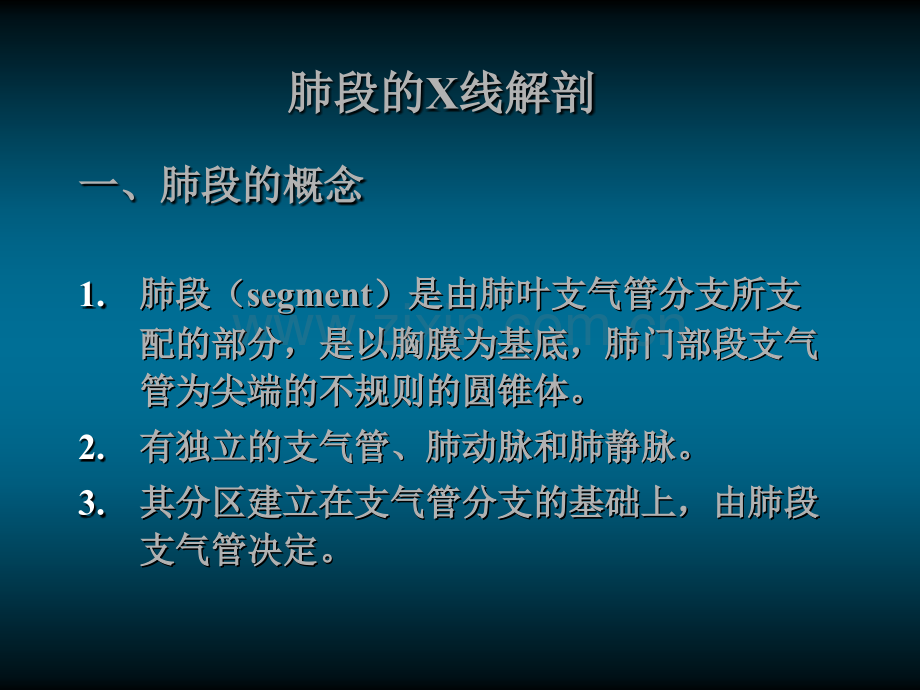 肺的X线解剖.ppt_第1页