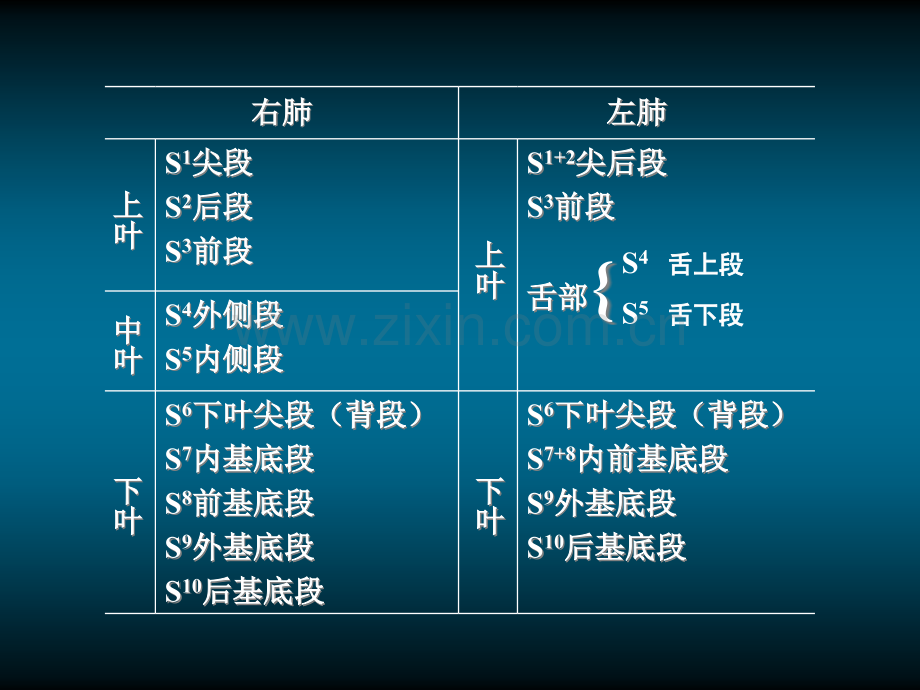 肺的X线解剖.ppt_第2页