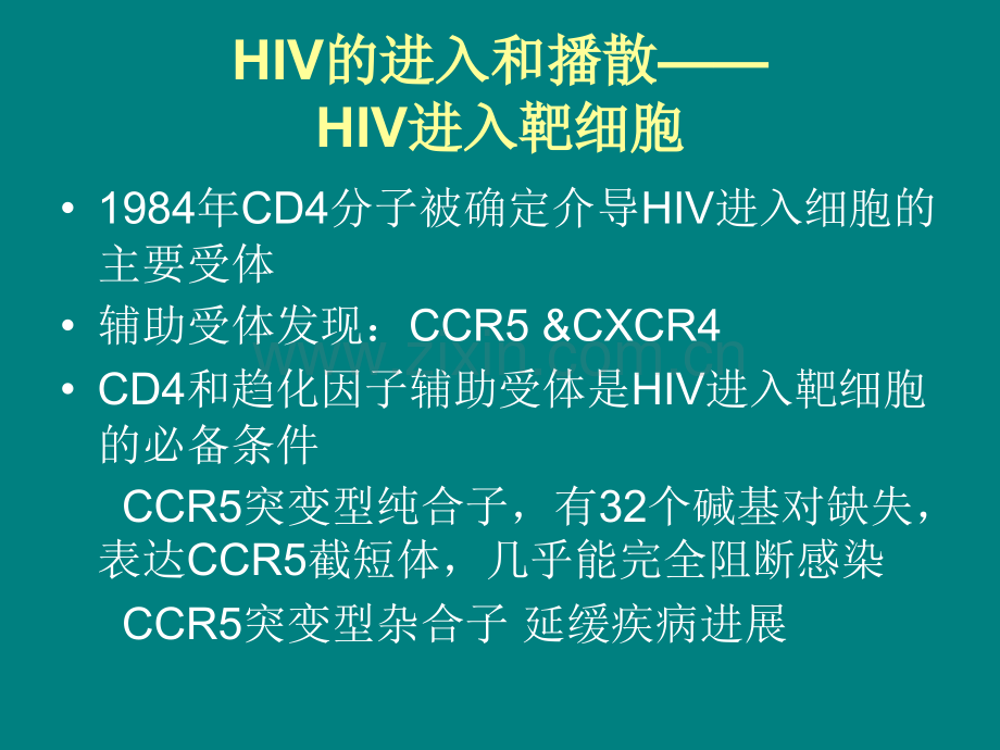 HIV感染免疫学ppt课件.pptx_第3页