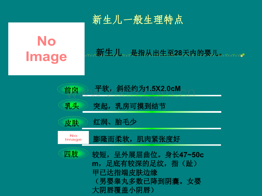 新生儿护理ppt课件(1).pptx_第3页