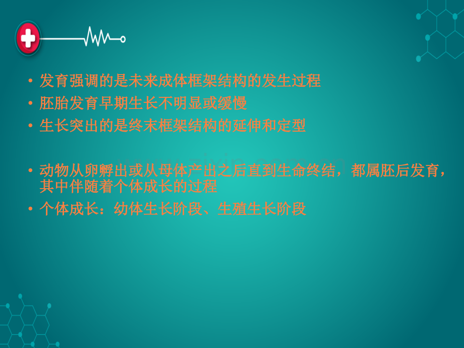 第九章胚后发育ppt课件.ppt_第2页