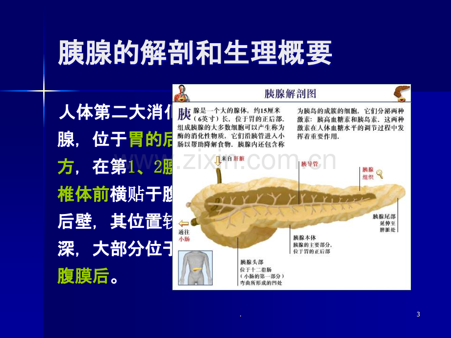 胰腺癌病人的护理ppt.ppt_第3页