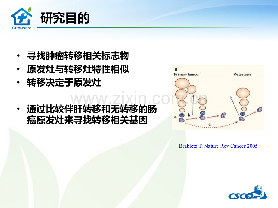 GSEA检测结直肠癌肝转移负相关基因ppt课件.ppt_第3页