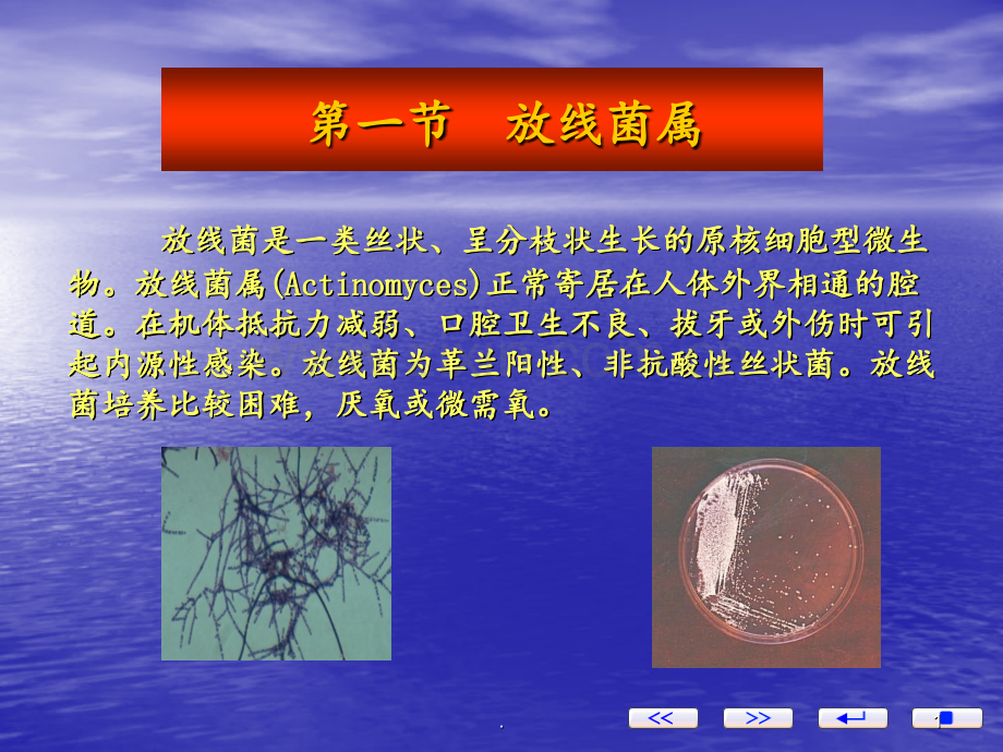 第章-其它原核细胞病原微生物PPT课件.ppt_第1页