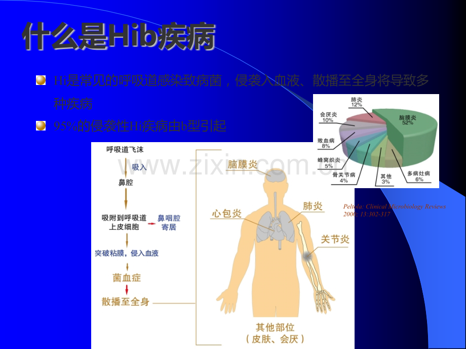 诺华Hib--维可思ppt课件.pptx_第3页