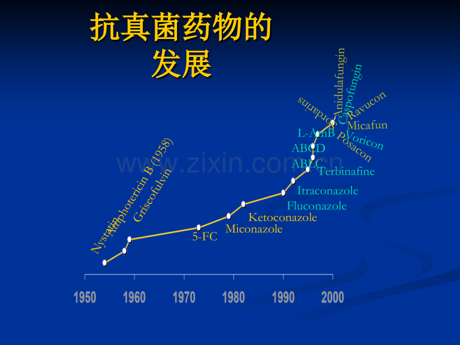 常见治疗深部真菌感染药物的比较-09.ppt_第2页