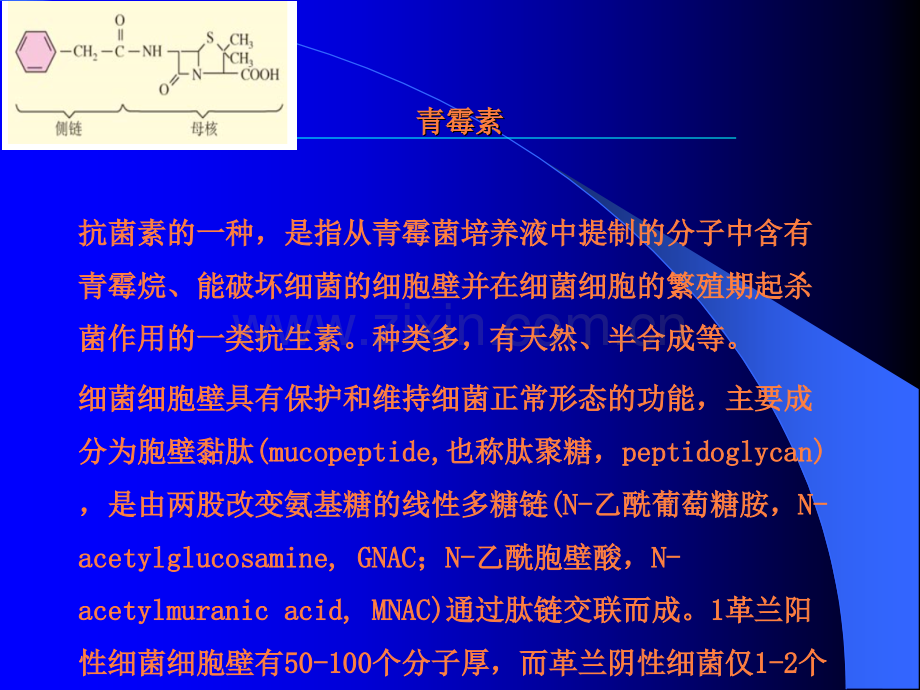 金黄色葡萄球菌耐药性ppt课件.pptx_第3页