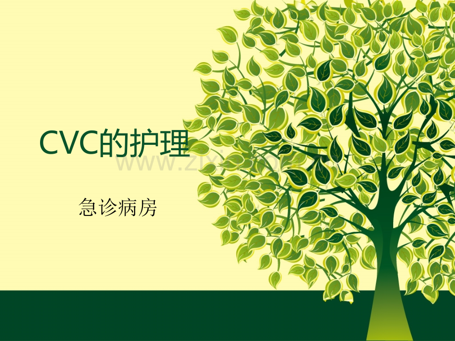 CVC的护理.ppt_第1页