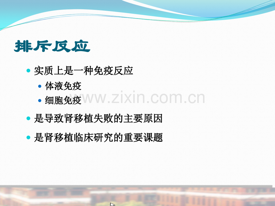 移植肾排斥反应.ppt_第1页