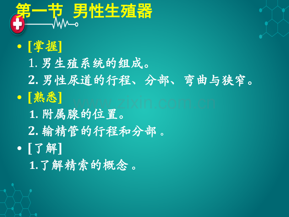 第六章：生殖系统ppt课件.ppt_第2页