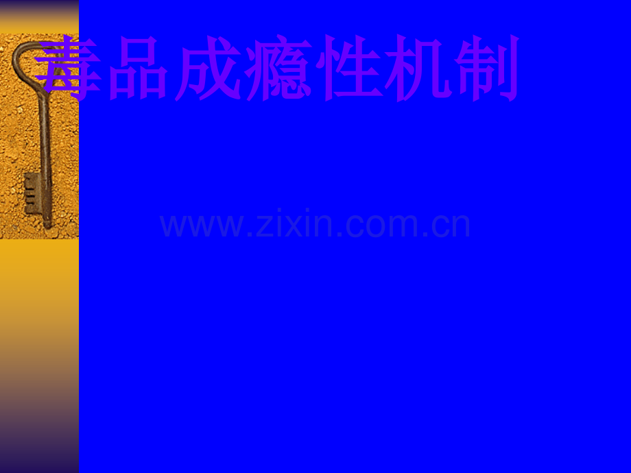 毒品成瘾性机制ppt课件.ppt_第1页