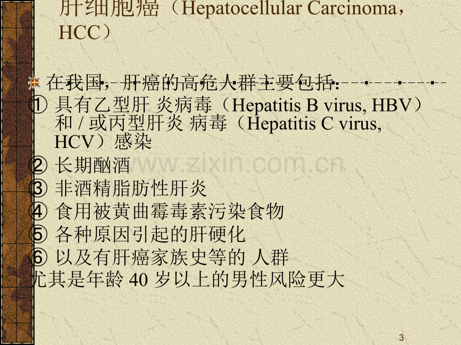 原发性肝癌的诊疗-ppt课件.pptx_第3页