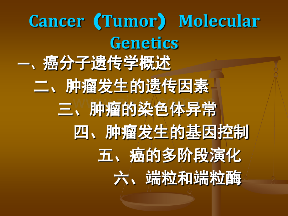 癌分子遗传学ppt课件.ppt_第1页