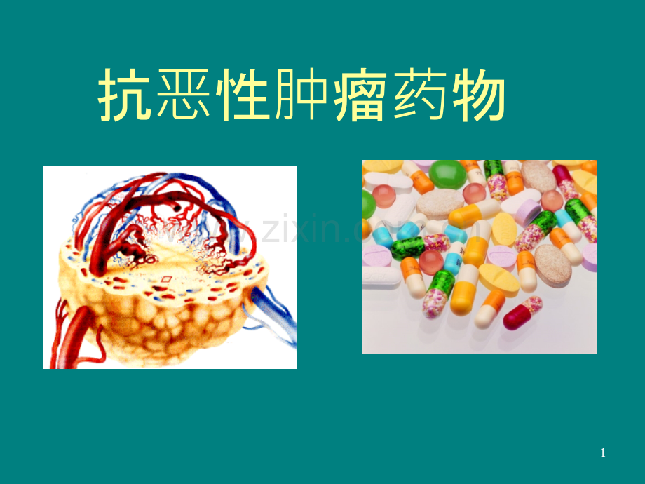 47-抗恶性肿瘤总结ppt课件.ppt_第1页