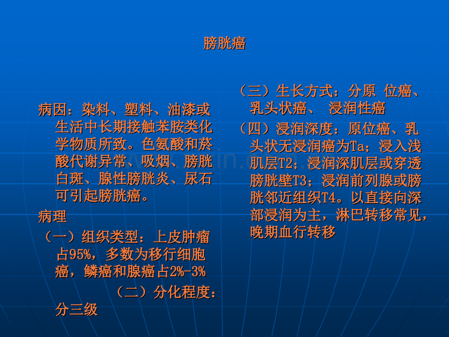 第四十三章泌尿、男性生殖系肿瘤ppt课件.ppt_第3页