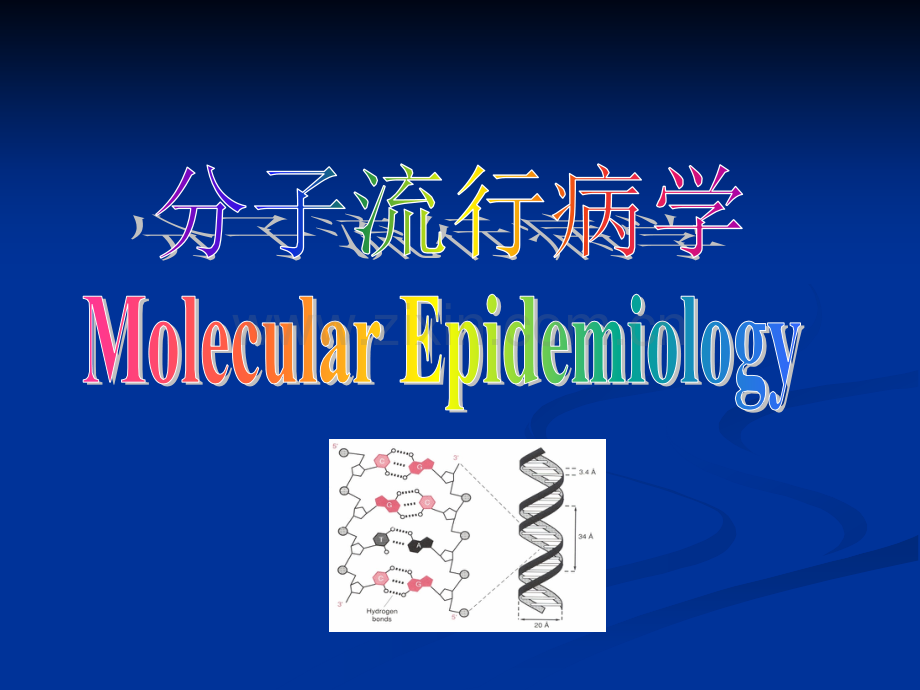 分子流行病学.ppt_第1页