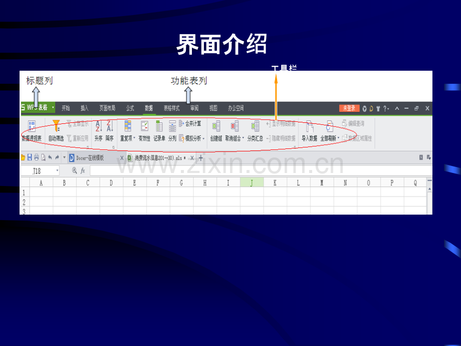 WPS表格的操作技巧.ppt_第2页