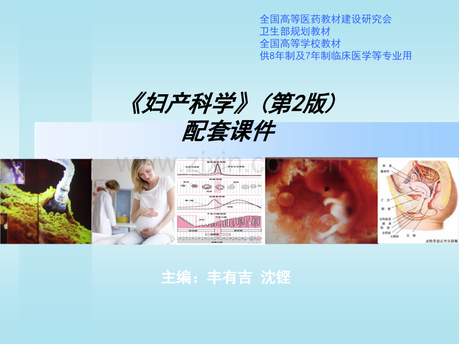 妇产科ppt课件.ppt_第1页