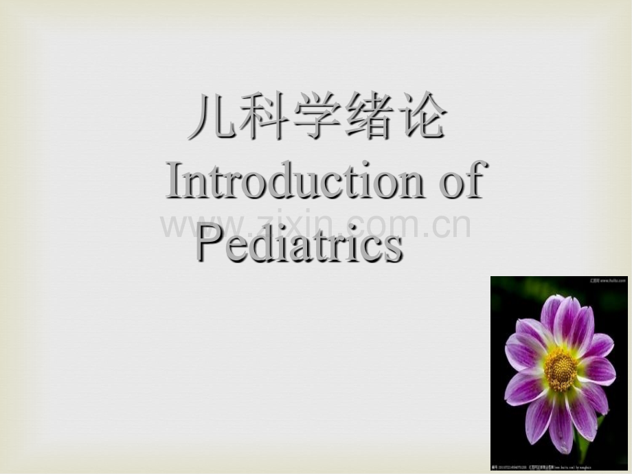 儿科学绪论-(1).ppt_第3页