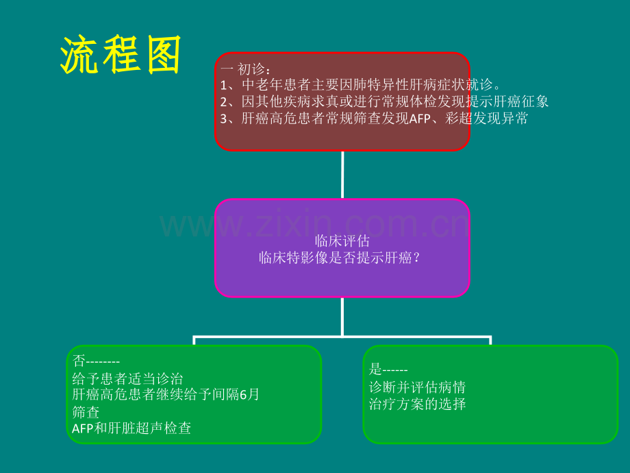 肝癌的诊疗流程ppt课件.ppt_第2页