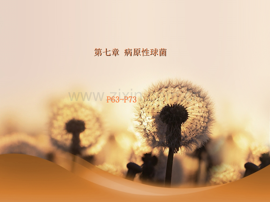 第二十章-致病性球菌ppt课件.ppt_第1页