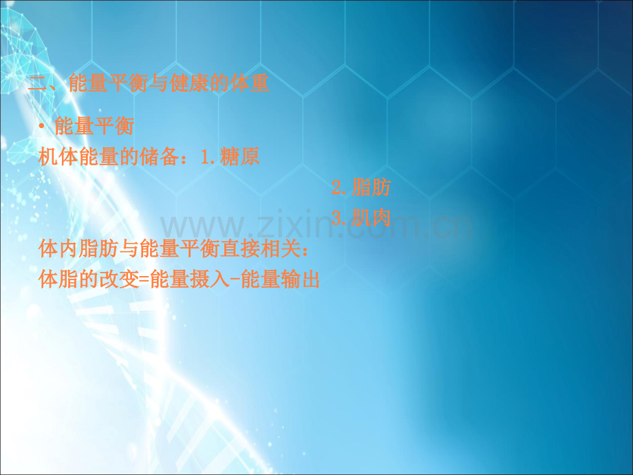 营养与能量ppt.ppt_第1页