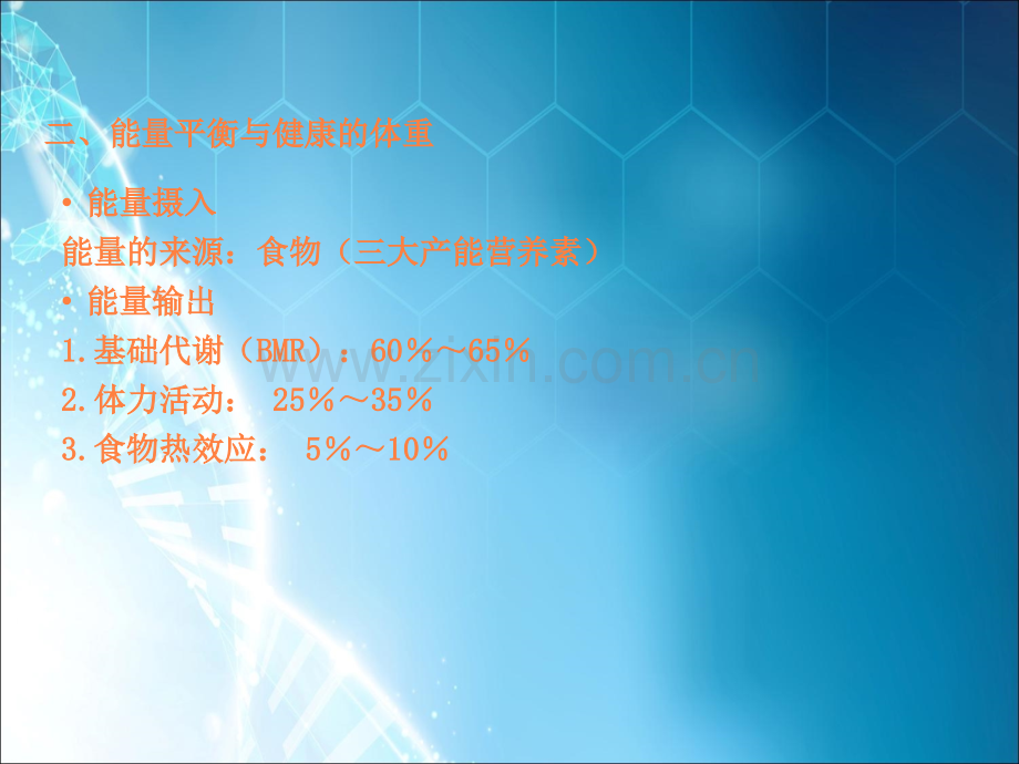 营养与能量ppt.ppt_第2页