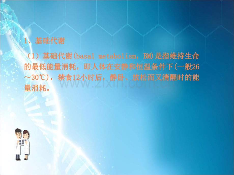 营养与能量ppt.ppt_第3页