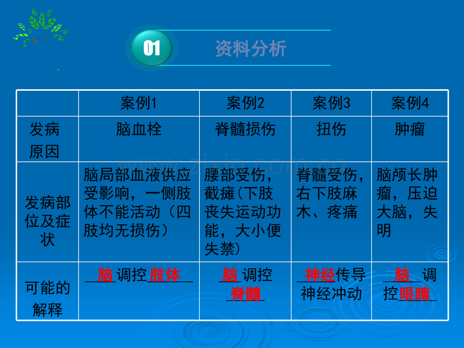 《神经系统的组成》共张ppt课件.ppt_第2页