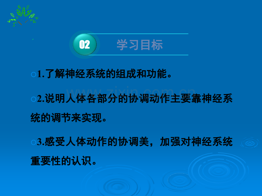 《神经系统的组成》共张ppt课件.ppt_第3页