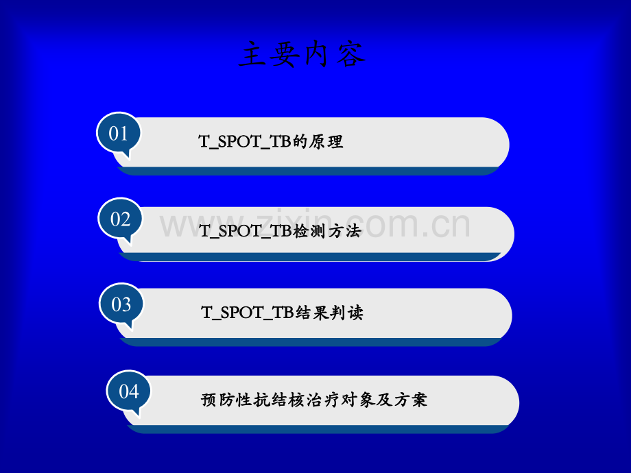 SO与预防性抗结核治疗ppt课件.ppt_第2页