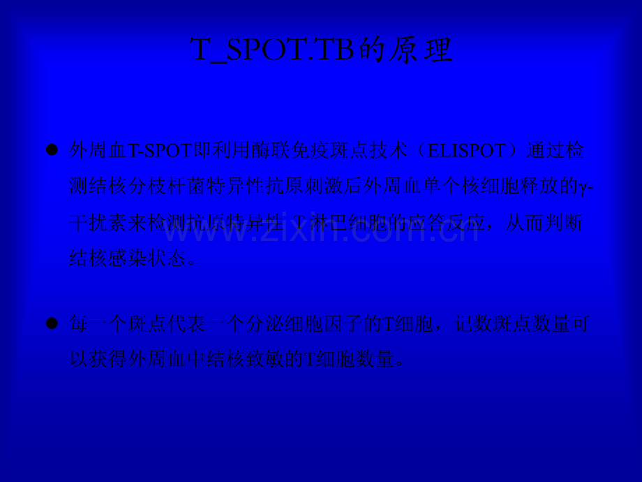 SO与预防性抗结核治疗ppt课件.ppt_第3页