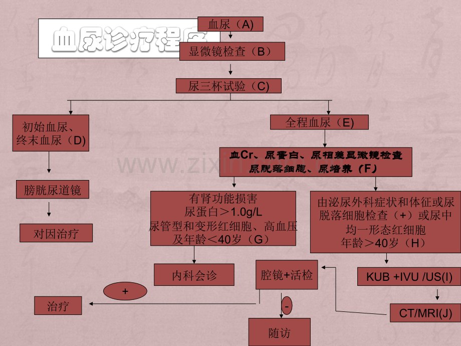 血尿讲座.ppt_第2页