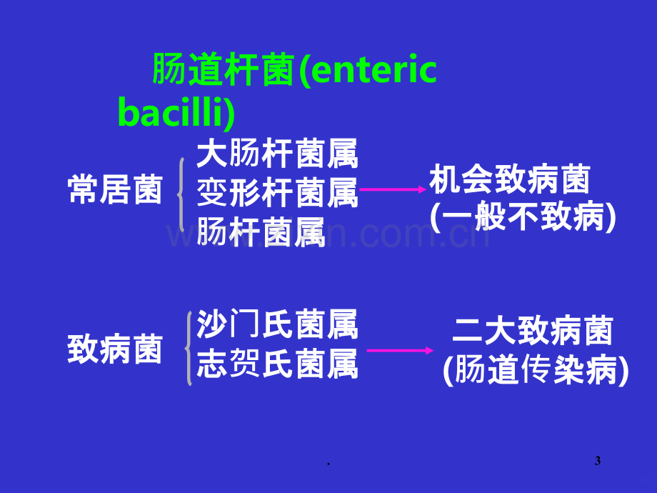 肠道杆菌—病原生物学PPT课件.ppt_第3页