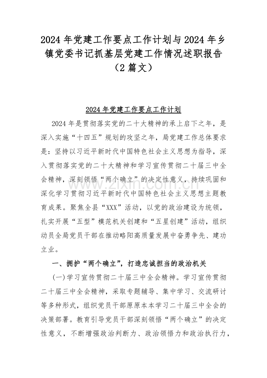 2024年党建工作要点工作计划与2024年乡镇党委书记抓基层党建工作情况述职报告（2篇文）.docx_第1页