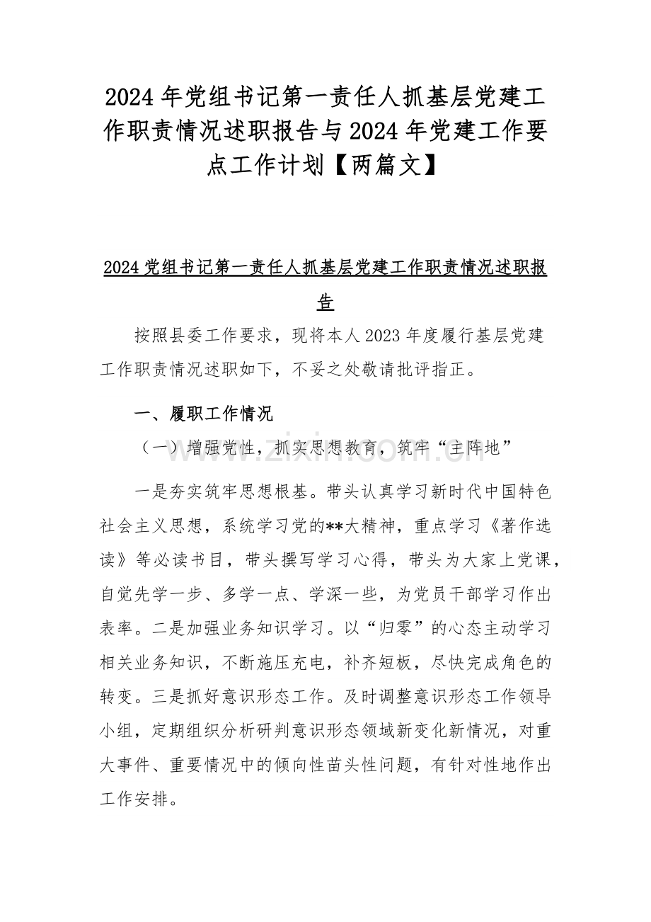 2024年党组书记第一责任人抓基层党建工作职责情况述职报告与2024年党建工作要点工作计划【两篇文】.docx_第1页