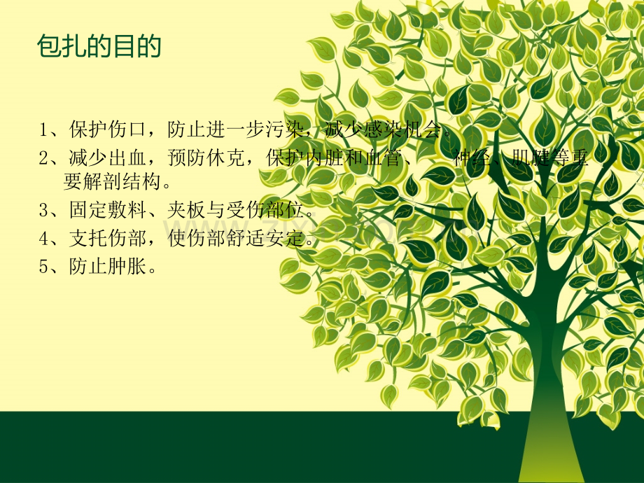 绷带的常见包扎方法.ppt_第2页