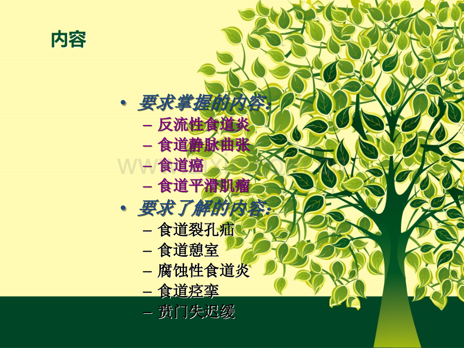 CT学习——食道病变.ppt_第2页