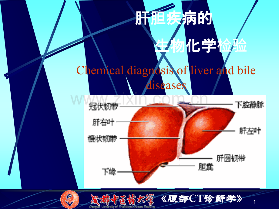 肝胆疾病的生物化学检验ppt课件.ppt_第1页