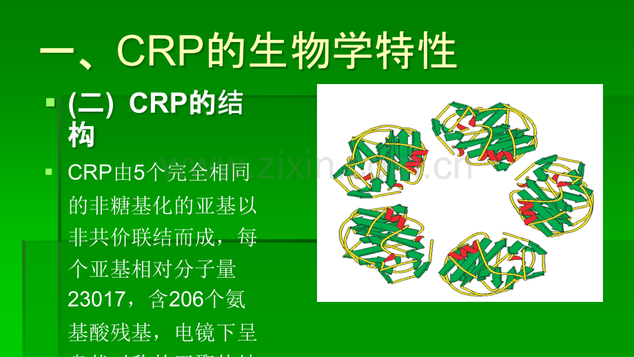 C反应蛋白CR生物学特征及其临床应用ppt课件.ppt_第3页