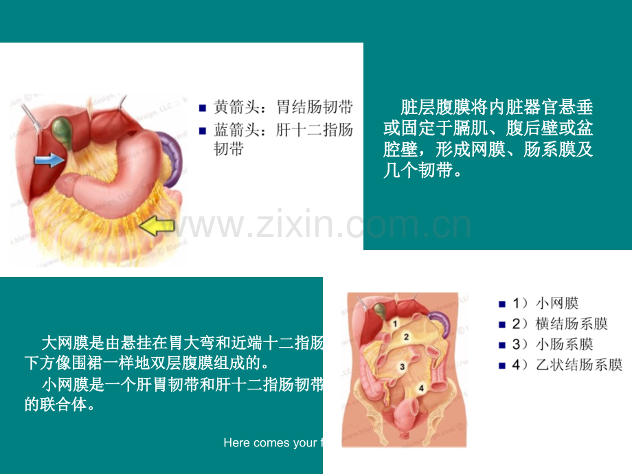 腹膜及肠系膜病变影像学分析.ppt_第3页