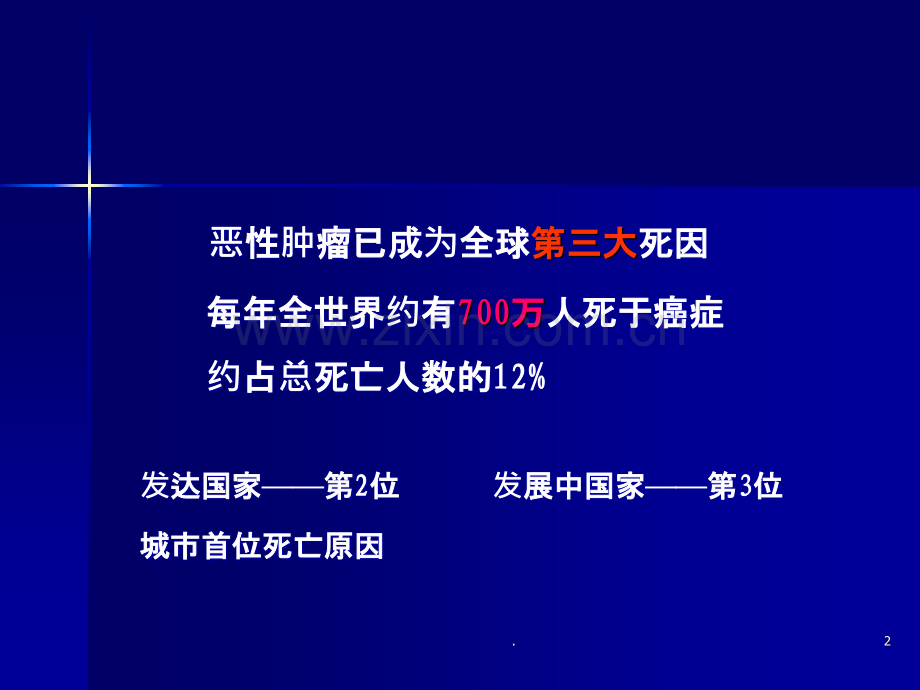 我的教学课件肿瘤学概论.ppt_第2页